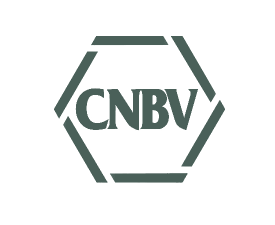Logo CNBV